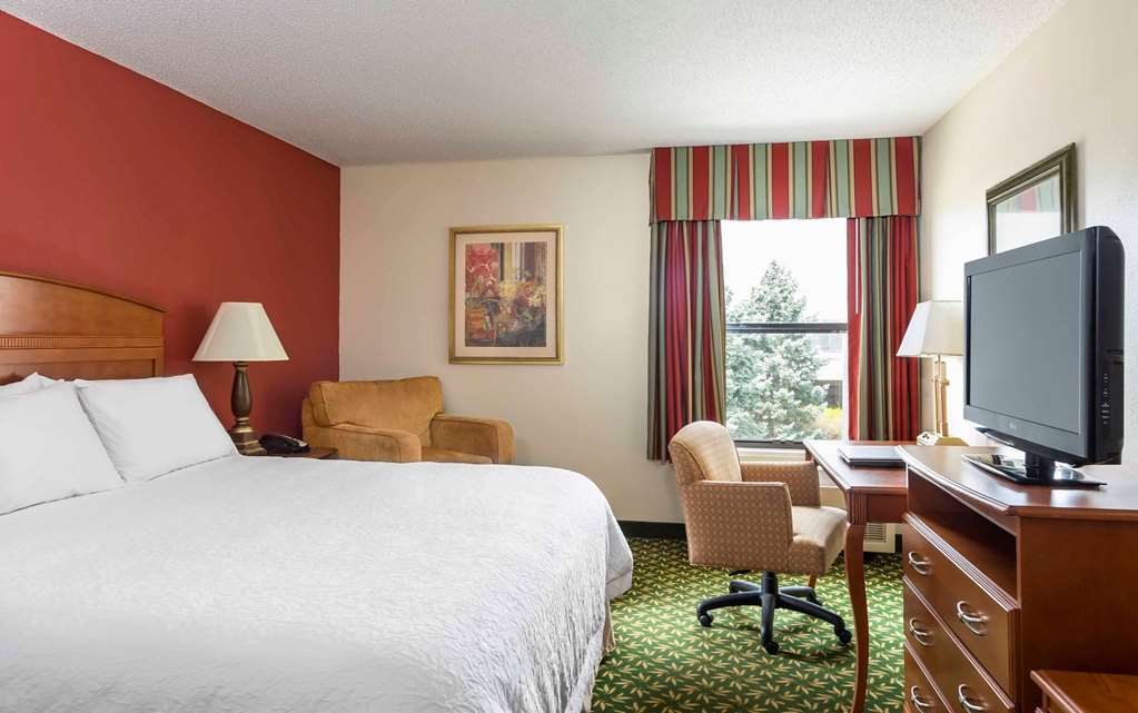 Hampton Inn Youngstown/Boardman Poland Rum bild